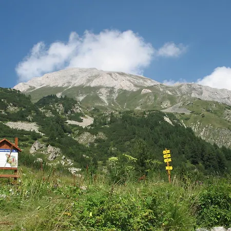 Dumanov Bansko